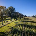 Blockline TVE D.Stratmann ADAP 10_21 (9) - Kopie Blockline TVE D.Stratmann ADAP 10_21 (9) - Kopie