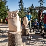 Blockline TVE D.Stratmann ADAP (42) Blockline TVE D.Stratmann ADAP (42)