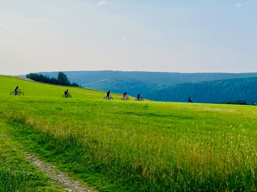 Produktschulung TMGS BLOCKLINE_Foto7_TVE.jpg