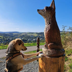 Fuchs 1 Foto: Undine Weise