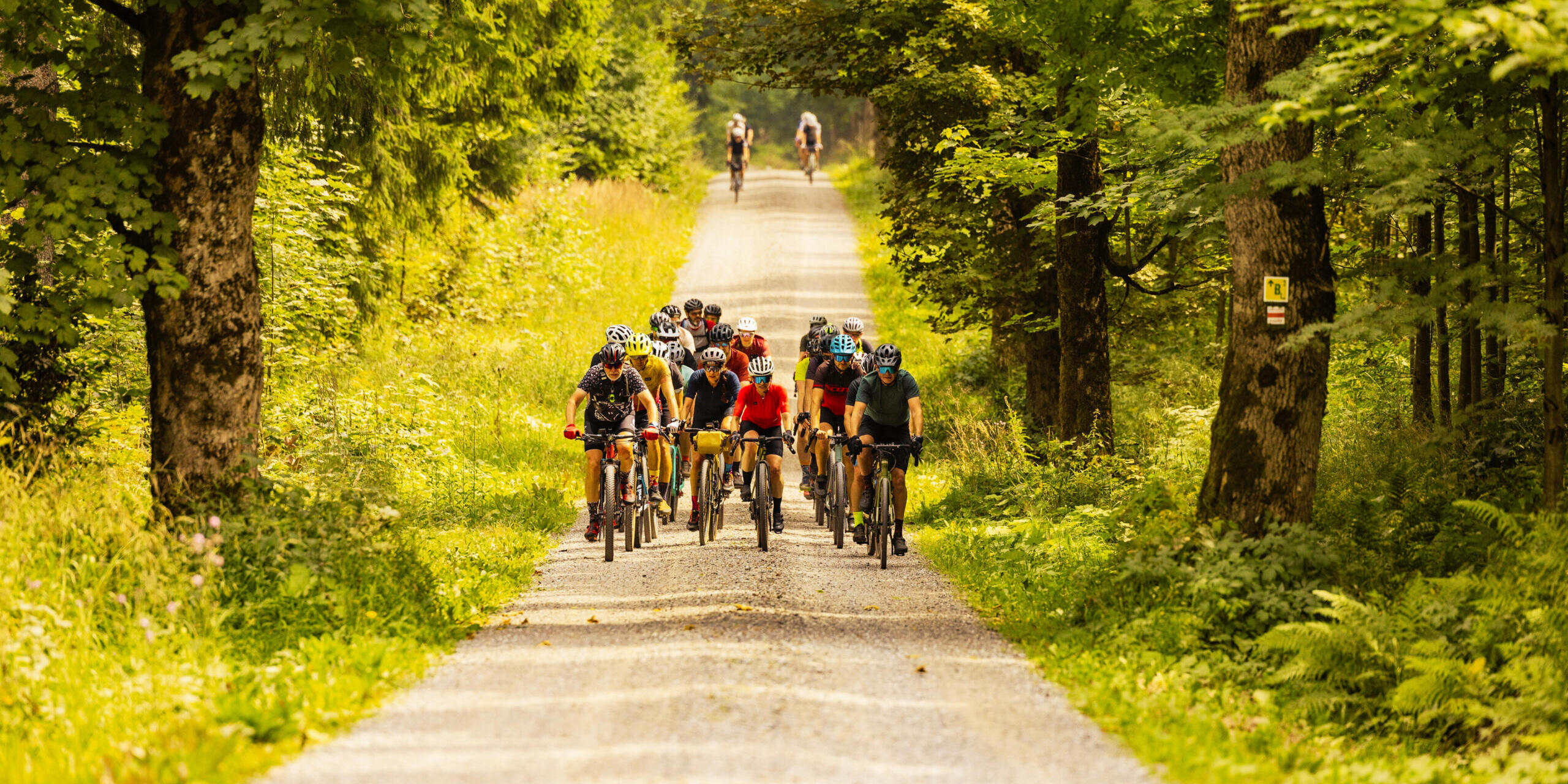 Rad_Erzgebirge_2025_Foto_TVE_Martin Donat_lifecyclemedia.de-115 Foto: TVE/ Martin Donat