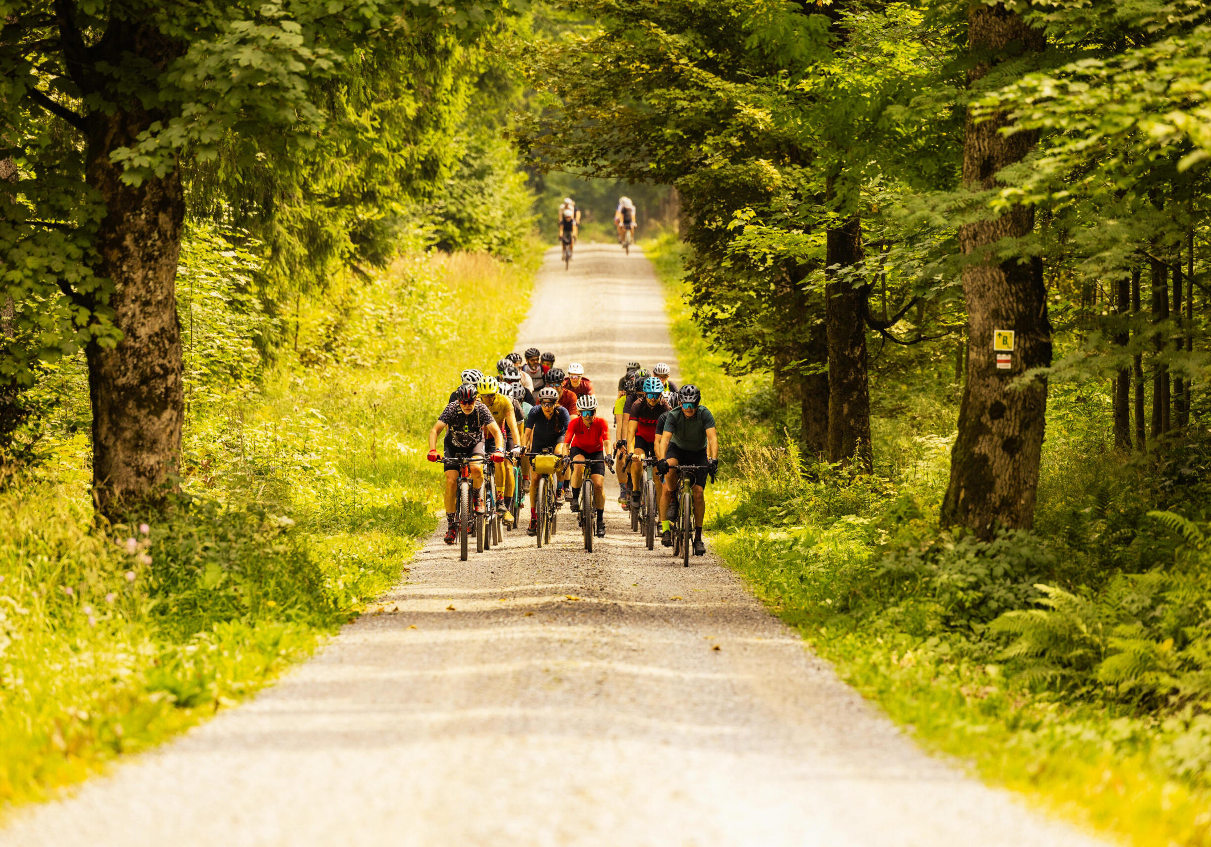 geführte Radtour_Erzgebirge_BLOCKLINE_2025_Foto_TVE_Martin Donat_lifecyclemedia.de-115